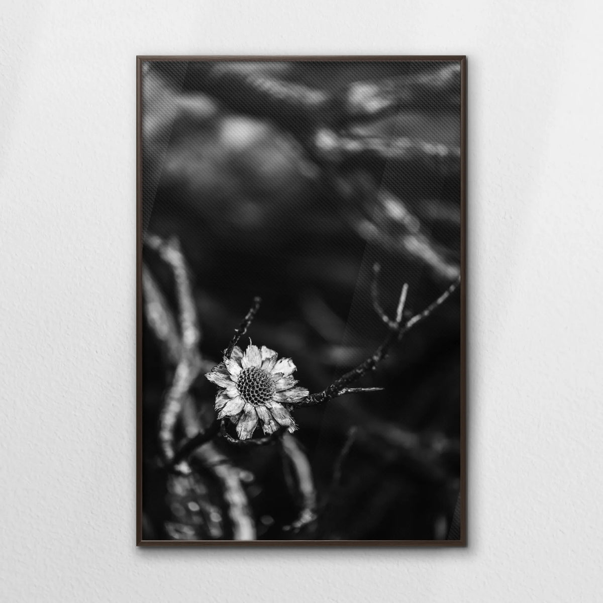 LWN080W120