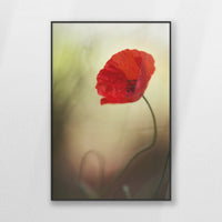 PB-070W100