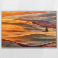 LW-075W050