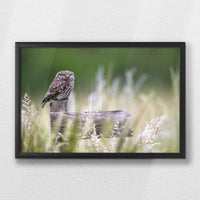 LWB060W040