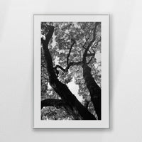 PSP080W120