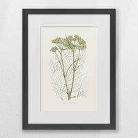 PKP030W040
