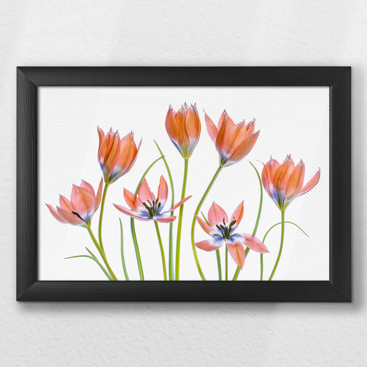 LWB030W020