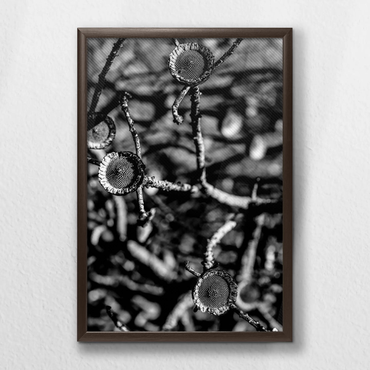 LWN040W060