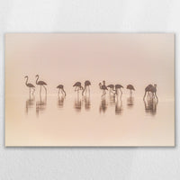 LW-120W080