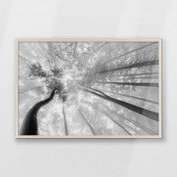 PN-093W062