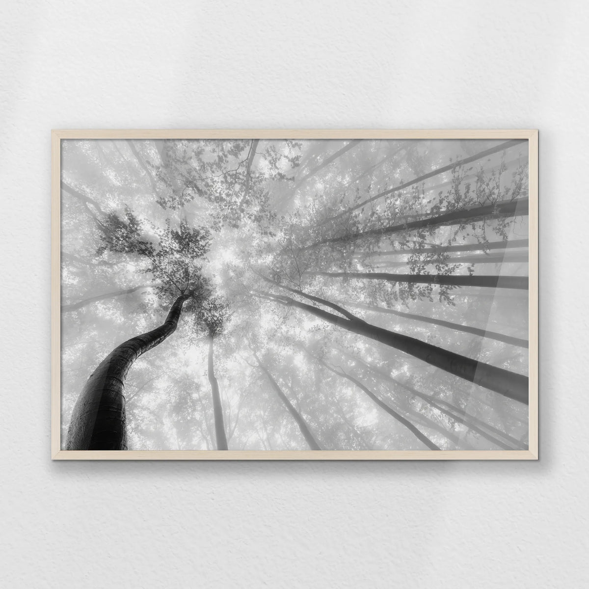 PN-093W062