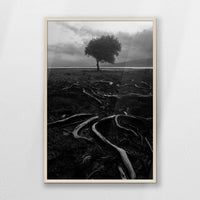 PN-062W093