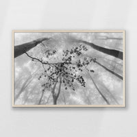 PN-093W062