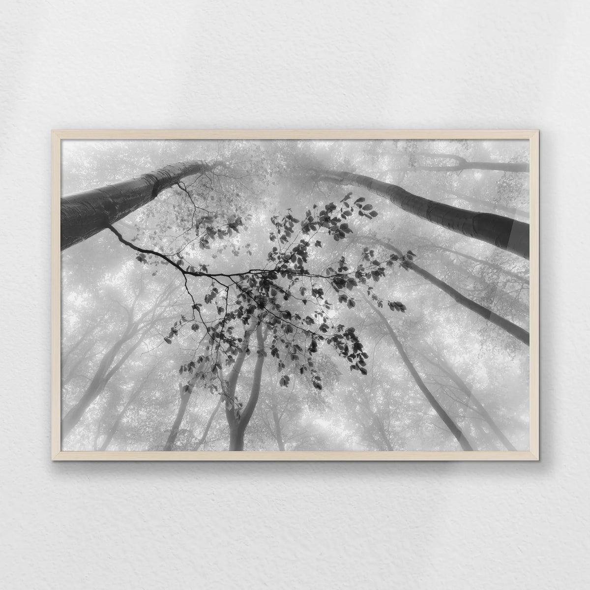 PN-093W062
