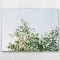 AL-060W045