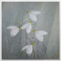 AC-080W080