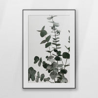 PBP080W120