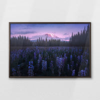 LWN100W070