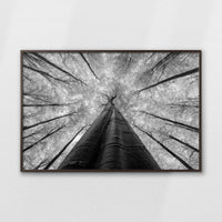 LWN120W080