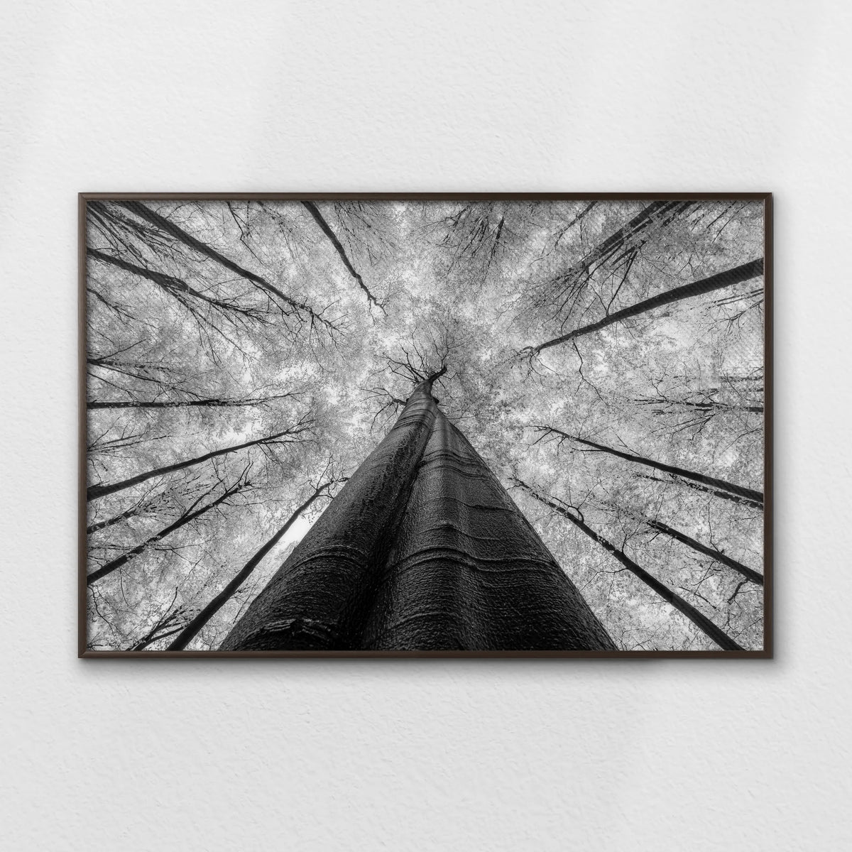 LWN120W080