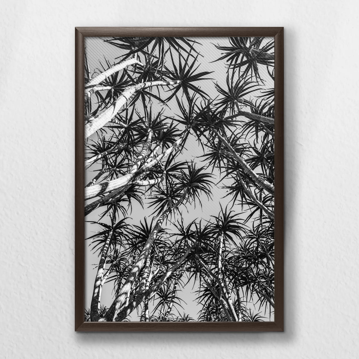 LWN040W060