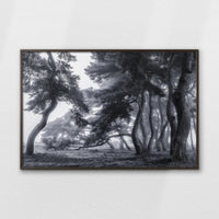 LWN120W080