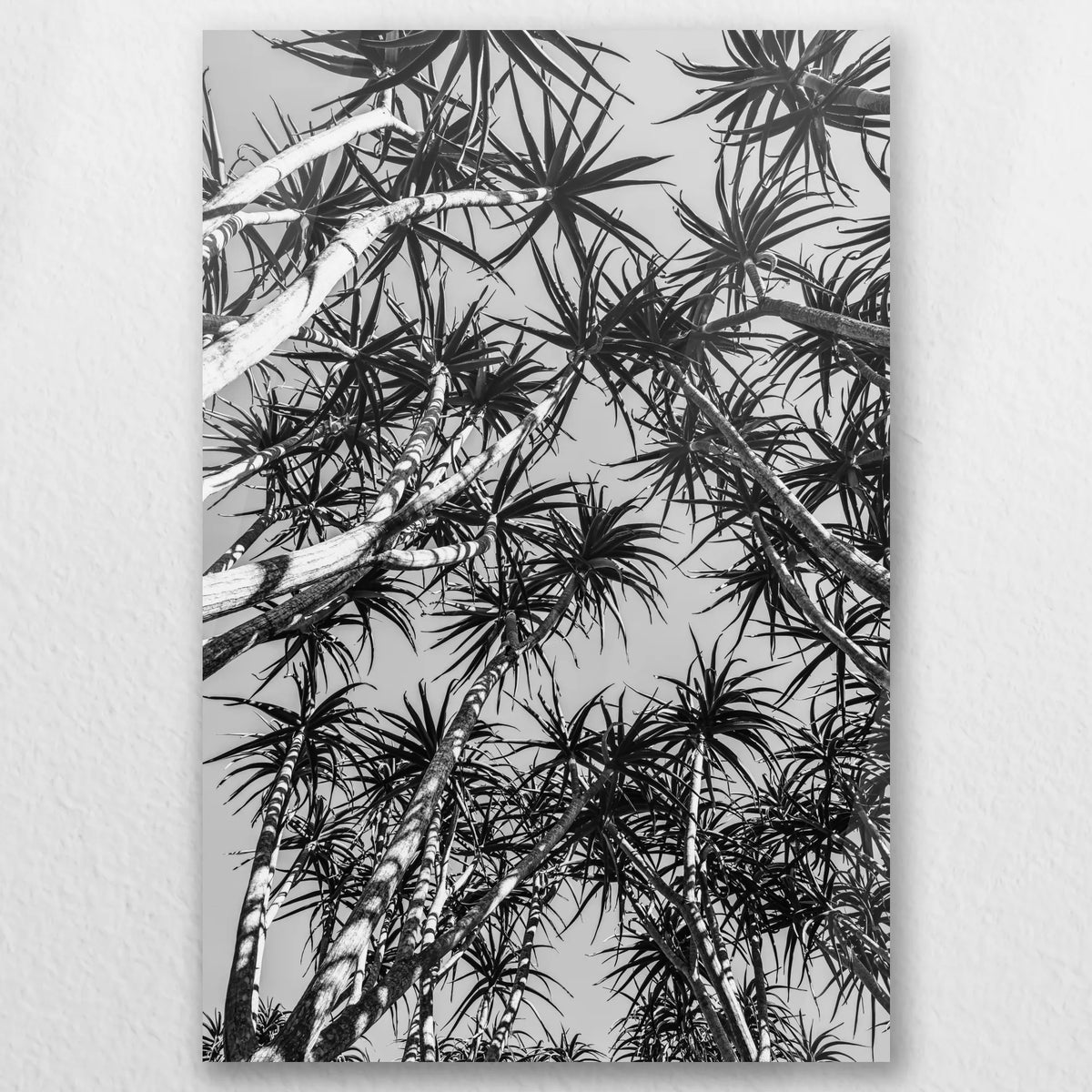 AC-040W060