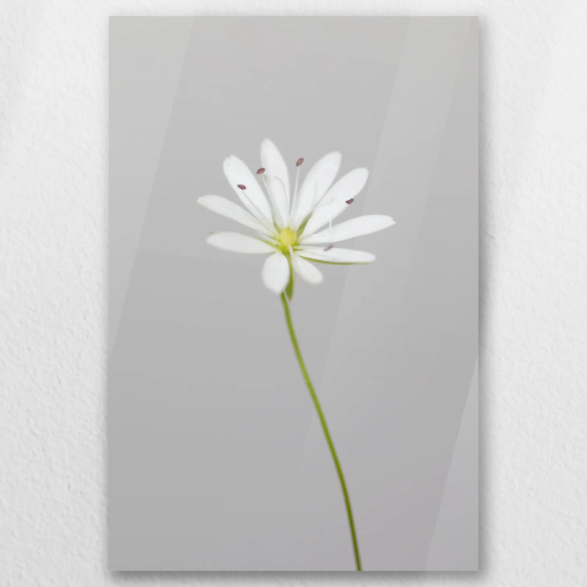 AC-050W075