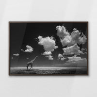LWN100W070