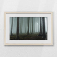 PNP060W040