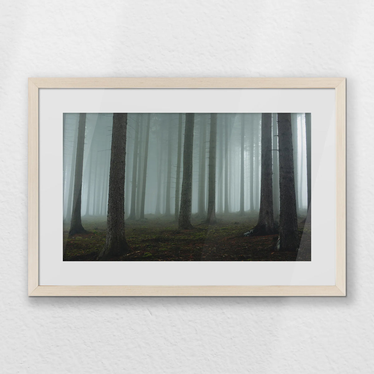 PNP060W040