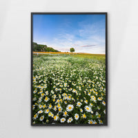 LWB080W120