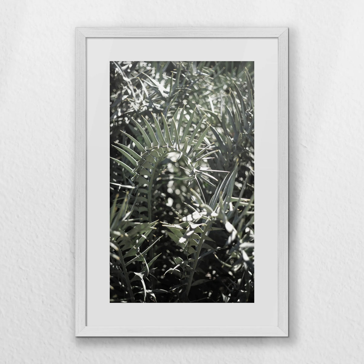 PWP040W060
