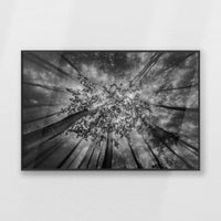 PB-093W062