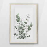 PNP040W060