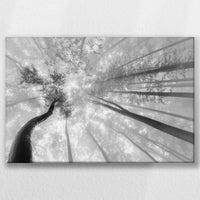 LW-030W020