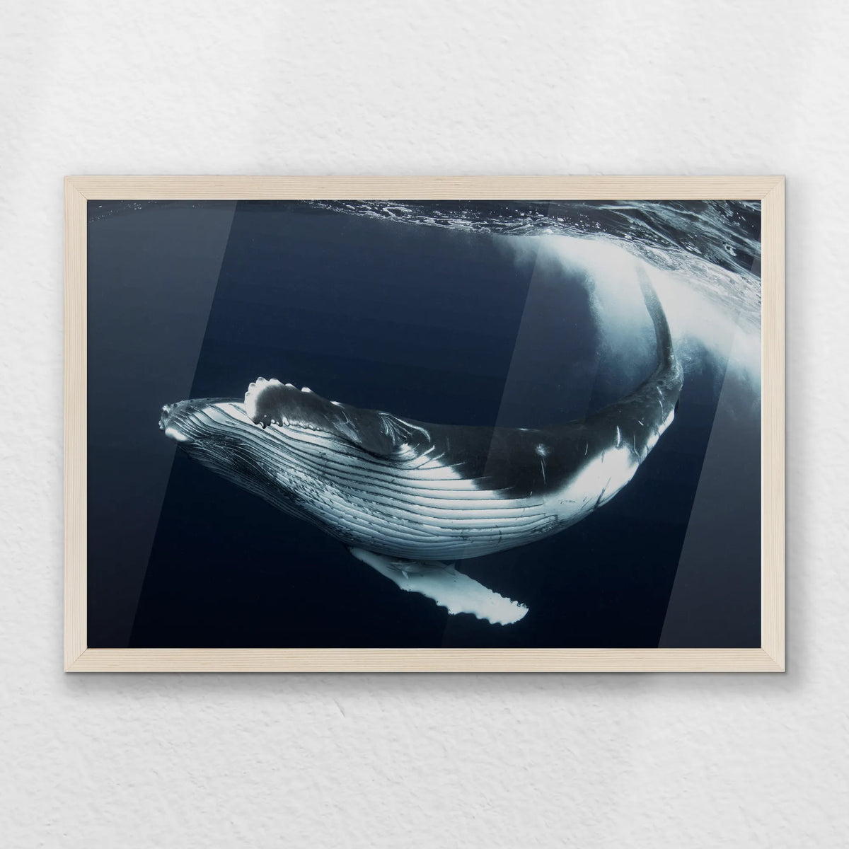 PN-060W040