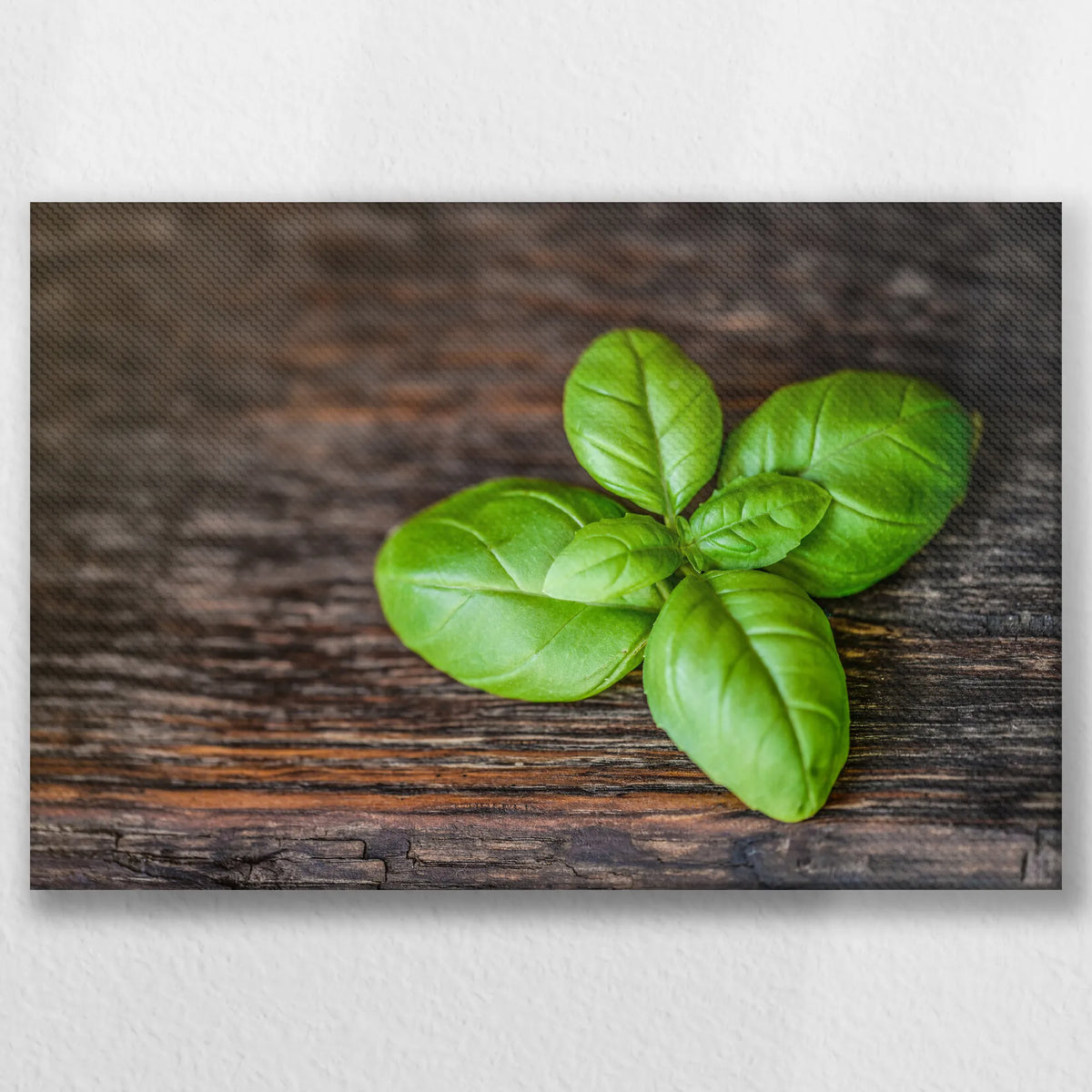 LW-045W030