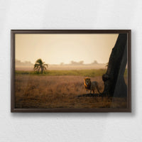 LWN060W040