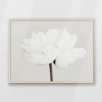 PN-080W060