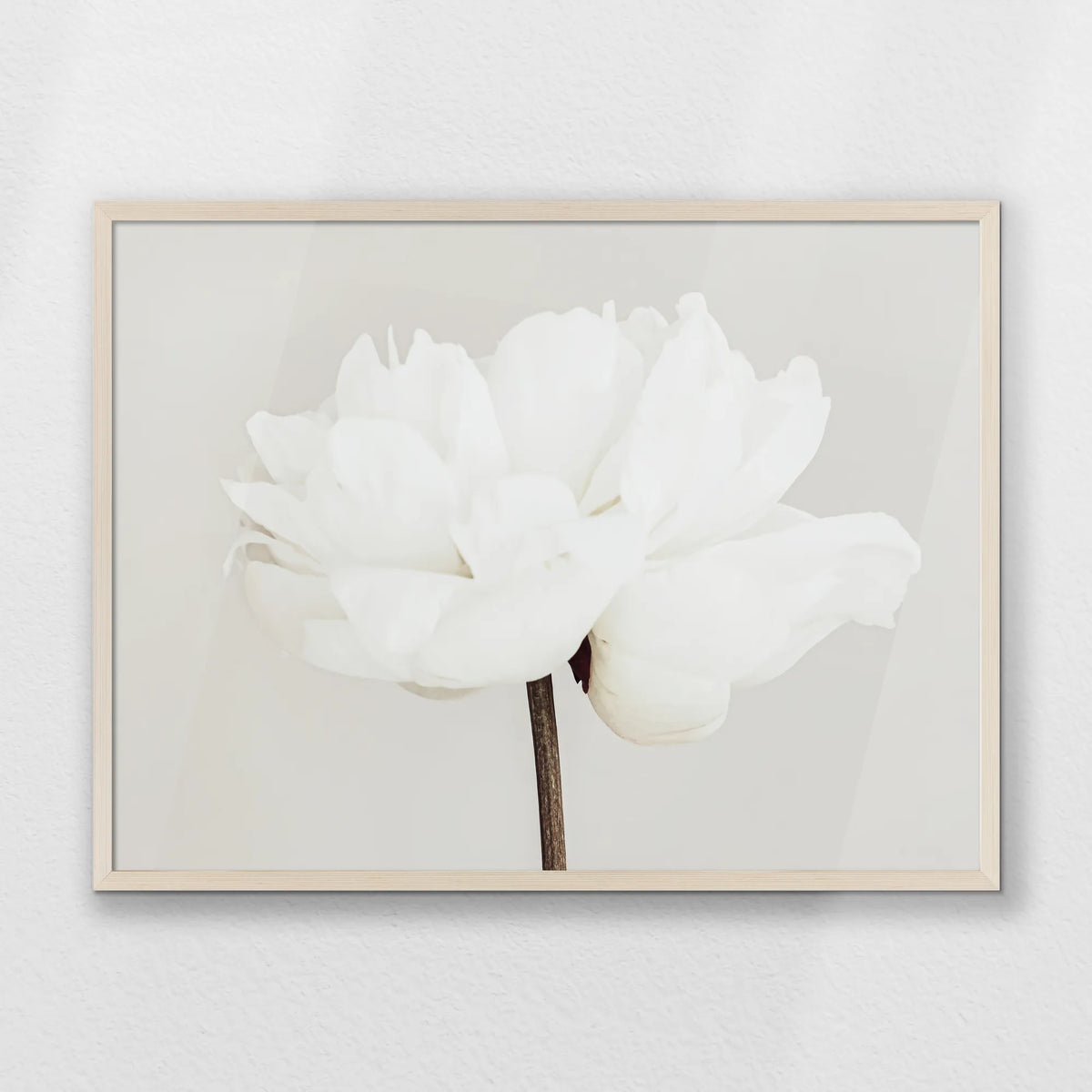 PN-080W060