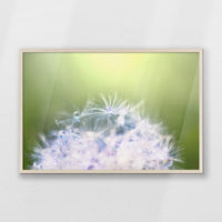 PN-093W062