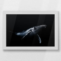 LWW030W020