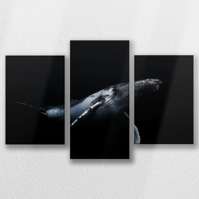LW-060T040