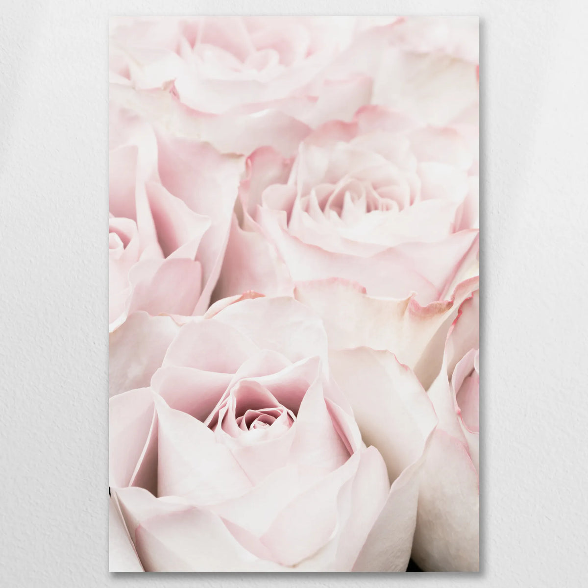 AL-080W120