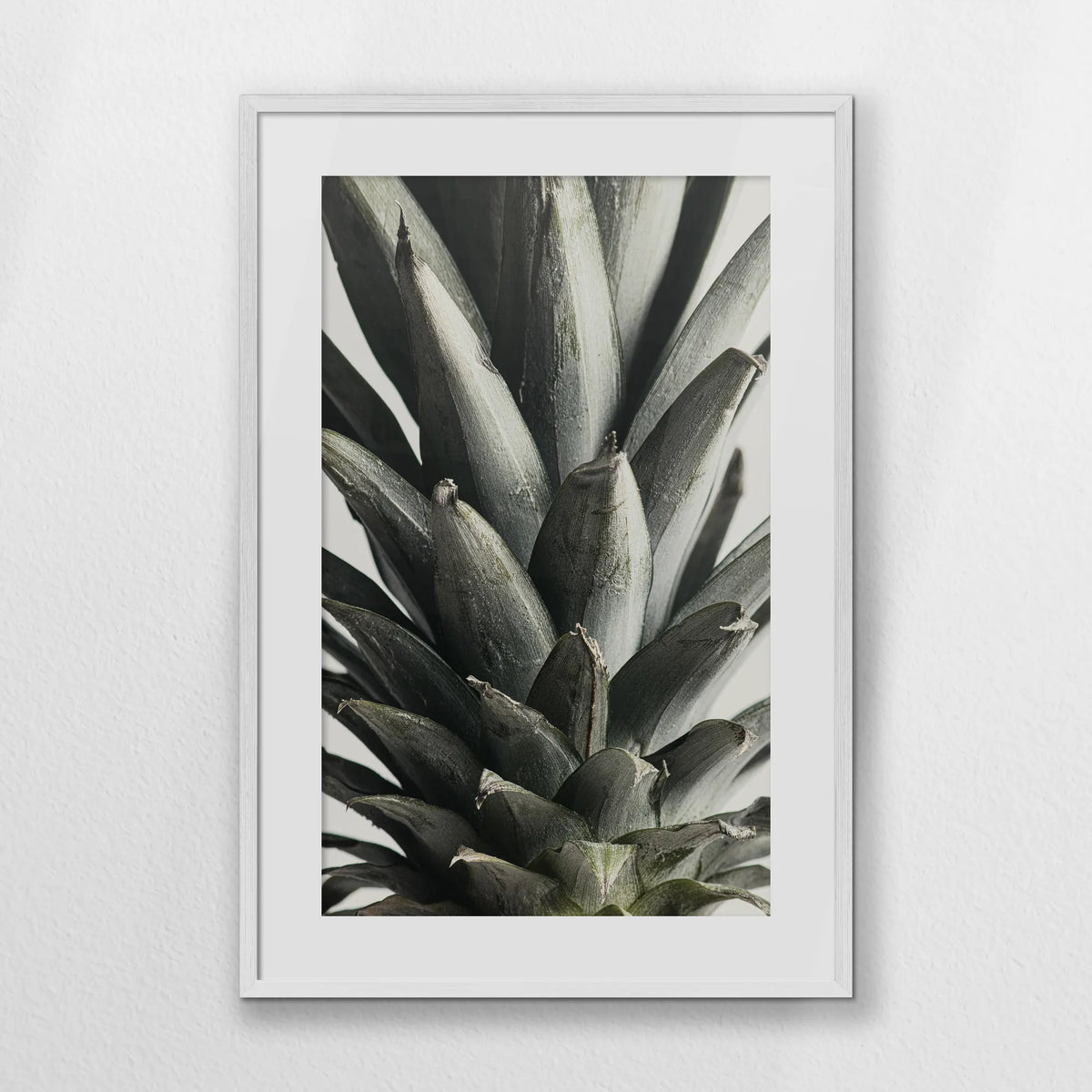 PWP062W093