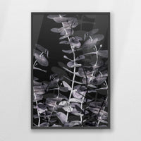 PK-062W093