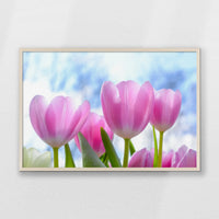 PN-093W062