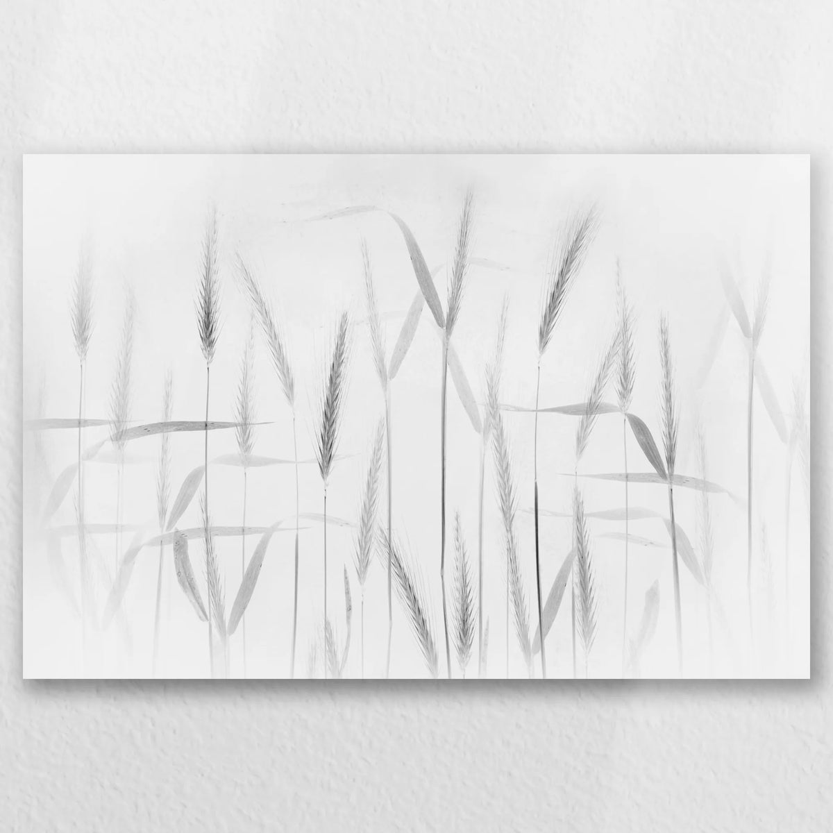 AC-030W020