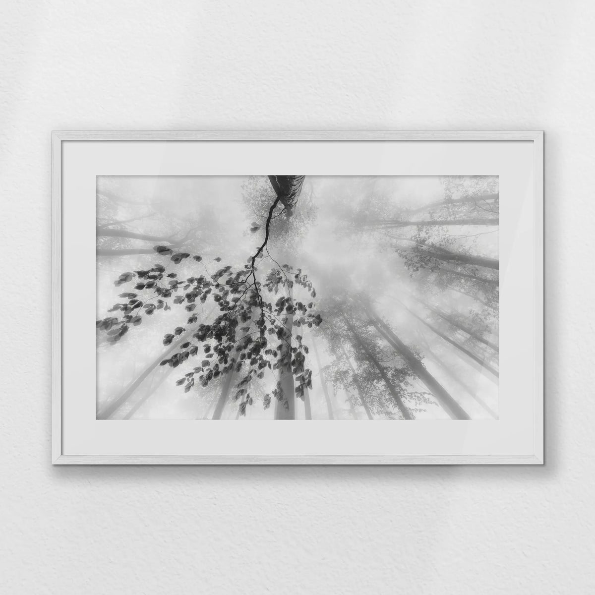 PWP093W062