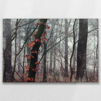 LW-075W050