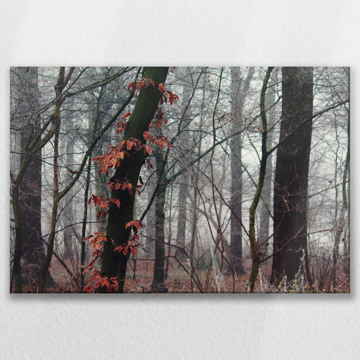 LW-075W050