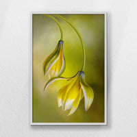 LWW070W100