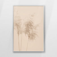 PS-062W093
